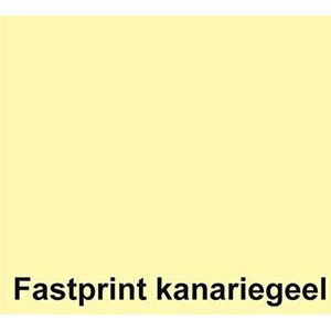 Fastprint Copier Paper A4 80g/m² Canary Yellow Inkjet papier