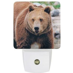 Alberta Grizzly Beer Warm Wit Nachtlampje Plug In Muur Schemering naar Dawn Sensor Lichten Binnenshuis Trappen Hal