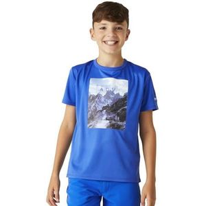 Regatta Alvardo VIII Graphic T-shirt voor jongens