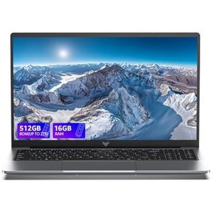2025 ACEMAGIC Laptop Twin Lake N150 (beter dan N100,3,6 GHz), 15,6 inch FHD (1920 x 1080) laptop, RAM 16 GB NVME SSD, 512 GB notebook, pc-notebook in aanbieding, HDMI, kantoor, grijs