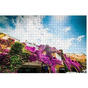 Puzzel 1000 stukjes kleurrijke bloemen bedekte gebouwen in Positano Een Zonnige Dag Puzzel Moeilijk Meisje Houten Puzzel Voor Volwassenen en Kinderen Familiespellen Klassieke Puzzels