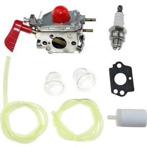 Carburateur past op blower