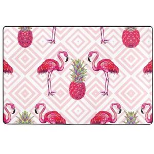 FRGMNT Roze Flamingo Ananas Print Ultra Zacht Vloertapijt, Luxe Lounge Ruimte Tapijt Ideaal Voor Woonkamer, Slaapkamer, Kinderkamer