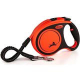 Flexi Xtreme 5 m Noir, Orange Chien