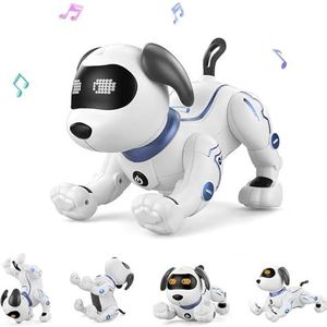 Goolsky - Elektronische Huisdieren Robot Hond Stunt Hond Voice Commando Programmeerbare Touch-Sense Muziek Lied Speelgoed voor Kinderen Verjaardag LE NENG TOYS K16A
