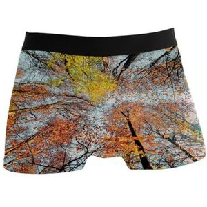 GISPOG Herfst Geel Treetop Mannen Boxers Slips Man Ondersteuning Ondergoed Stretch Low Rise Boxer Korte Trunks, 1 kleur, M