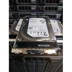 Echte DELL Enterprise HDD RWV72 3 TB 7.2K 3.5in SATA III SEAGATE ST3000NM0033 9ZM178-036 (verlengd)