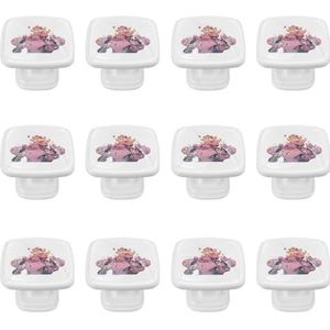 JINANSTAR voor Princess Peach 12 stuks ladetrekkers met schroeven-ABS glazen handgrepen 1,2 x 0,8 x 0,8 inch-kastdeurtrekken-premium kwaliteit ladeknoppen voor kasten, dressoirs, kastdeuren