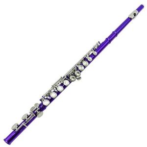 fluit 16-gaats C-sleutel E-sleutel Fluit Met Gesloten Gat Kleur Blauw Paars Cyaan Fluitstudent Beginner Die Muziekinstrument Bespeelt (Color : Purple)