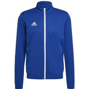 adidas Heren Entrada 22 Track Jacket, Royal Blue, M Extra Tall