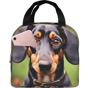 Longyiyi Unisex draagbare geïsoleerde teckel Weiner Pet Dogs Print lunchtas, bento tas, geschikt voor werk, studie, picknick.