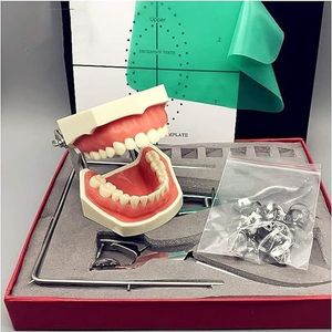 Rubber Dam Punch Board Oefentoolset Tandheelkundige Endodontische Kit met Tandmodel voor Mondzorgprofessional Examen Wetenschappelijk Onderwijs