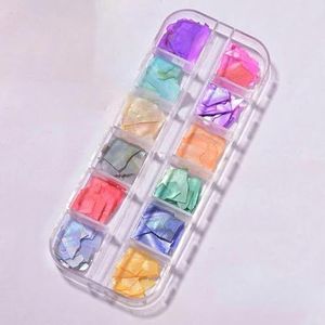 Nagelschelpen Nagel Abalone Schelp Steen Nagelaccessoires plakjes Abalone plakjes Nageldecoratie Accessoires Voor Nagel-05