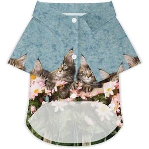 Maine Coon Kittens achter madeliefjes bloemen grappig hondenshirt button down Hawaii shirt grappige doek huisdier ademende T-shirts cadeau voor kleine honden en katten