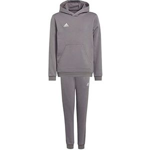 adidas Entrada 22 - Sweatpak - Team Grey Four - Voor Kinderen