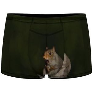 Grijze Eekhoorn Gaaien Heren Boxer Slips Sexy Shorts Mesh Boxers Ondergoed Ademend Onderbroek Thong