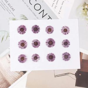 12 stuks geperst gedroogde Conyza Canadensis vulstof bloem voor epoxyhars sieraden maken ansichtkaart frame telefoonhoes ambachtelijke DIY-paars