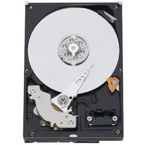 WESTERN DIGITAL WD3200AAKX Caviar Blue 320 GB 7200 RPM 16 MB cache SATA 6.0 Gb/s 3.5 inch interne harde schijf kale schijf