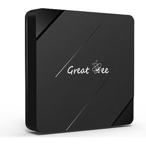 Grote Bee Gratis voor het Leven Android 10 Arabische TV Box voor IPTV Quad Core Allwinner H313 2G 16G Smart TV Dozen