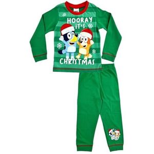 Bluey Jongens Kerst Pyjama Nachtkleding Pyjama Set, Groen, 5 jaar