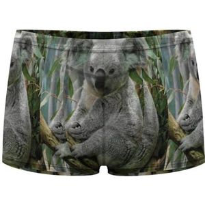 Koala On The Tree Boxershorts voor heren, sexy shorts, mesh boxers, ondergoed, ademende onderbroek, string