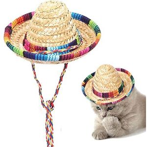 Danlai Mini Sombrero Party Hoeden 2 stks Fun Fiesta Strohoed Mexicaanse Hoed met Multicolor Trim Decoratie Hoed voor Honden Huisdieren Kids