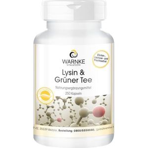 L-lysine & groene thee - 250 capsules - polyfenolen - EGCG - cafeïne - veganistisch & hooggedoseerd - grootverpakking | Warnke Vitalstoffe - Duitse apotheekkwaliteit