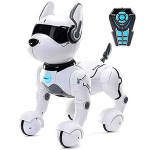 Top Race Robot hondenspeelgoed met afstandsbediening, robots voor kinderen, Rc Toys robot voor kinderen van 2,3,4,5 jaar en ouder, robot- en dansspeelgoed, imiteert dieren, minidier - (hond spreekt alleen Engels)