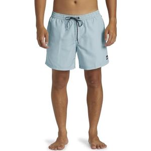 Quiksilver Heren Everyday Delux Volley 15 inch zwemmen zwembroek shorts, Frosty Spar, M