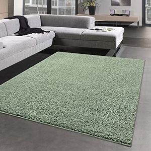 CARPETIA Hypoallergeen tapijt, wollig warm • feel-good sfeer • in lichtgroen, 120 x 170 cm