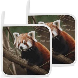 Pannenlappen set van 2 keukenpannenlappen rode panda op boomtak oven hete pads met hangende lussen resistente pannenlappen oven hete pads voor keuken koken bakken BBQ