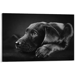 Vlogcamera, 4K videocamera camcorder 16x digitale zoom 4 4 8MP Ingebouwde vullichtstraakscherm vlogging for fotografie(128 G SD Card,AF1)