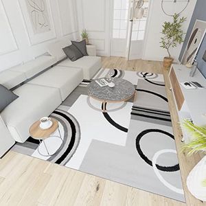 Mazovia Vloerkleed Modern - Tapijt Kortstondig Pooltje - Tapijten Moderne Patroon - Tapijt Woonkamer, Slaapkamer, Eetkamer - OEKO-TEX Carpet - Rug 250x300cm - Grijs