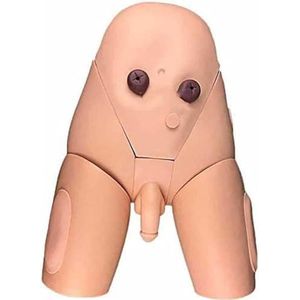 Katheterisatiemodel Mannelijke, Vrouwelijke Oefenpop Urinekatheterisatiemodel, Vrouwelijke Interne En Externe Medische Praktijk Traningmodel PVC-oefenpop Lesmodel Voor Verpleegkundige Medische Opleid