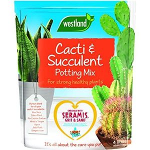 Westland 10200054 Cactussen/Succulente potcompostmix en verrijkt met Seramis, 4 liter, bruin