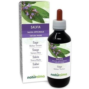 Echte salie (Salvia officinalis) bladeren Alcoholvrije moedertinctuur Naturalma - Vloeibaar extract druppels 200 ml - Voedingssupplement - Veganistisch