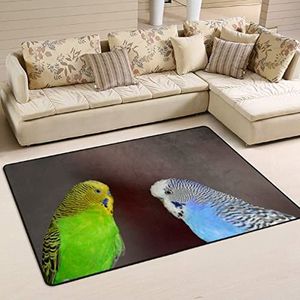 Gebied vloerkleed 100 x 150 cm, parkiet papegaaien blauwgroene vogel flanellen mat tapijt waterabsorberend woonkamer tapijt print kantoormatten, voor keuken, achtertuin