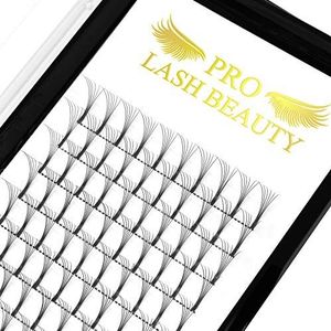 PRO LASHBEAUTY Wimperextensions, kant-en-klaar, volumineus, 6D-C-0.10-9 met lange steel, .07.10, krullend, geprefabriceerde waaiers C D, 6D-C-0.10-9 mm