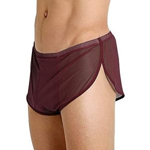 Mannen Mesh Ademend Gesplitste Zijden Ondergoed Ontspannen flexibiliteit Slips Visnet Doorzichtige Shorts