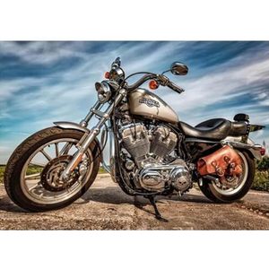 Dino Puzzel van 500 stukjes: Harley Davidson