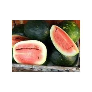 Black Diamond Watermelon (10 Semi), a volte chiamato il re del giardino