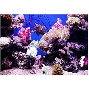 Aquarium achtergrond sticker, aquarium 3D effect lijm koraal Seaworld poster aquarium PVC enkelzijdig zelfklevend behang achtergrond sticker[61×41cm]Achterwanden