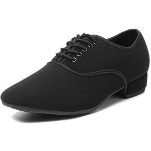 YKXLM Uomo Scarpe da Ballo Latino Professionali Standard Salsa da Ballo Tango Tacco Basso Scarpe da Ballo,Modello LPM2-JD,Zwart,EU40.5