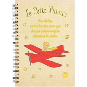 Le Petit Prince Notitieboek, standaard