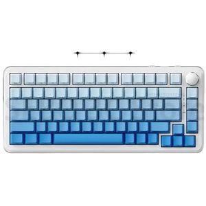 QPSJXN AK820MAX RGB Mechanische Toetsenbord Magnetische Schakelaar Hot Swappable 8K Rapid Trigger RT 0.1mm Compatibele Accessoires (AK820 Max Bedraad D)