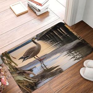 YNCATXZ Wild Goose by the Bridge deurmat 40 x 60 cm antislip indoor outdoor mat welkomstmat wasbaar deurmat voor entree deurmat absorberende flanellen badmatten