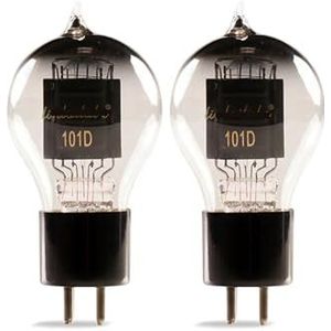 DIY 101D vacuüm ventiel audio versterker kit (2 stuks)