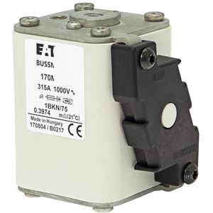 Originele zekering 170M4960