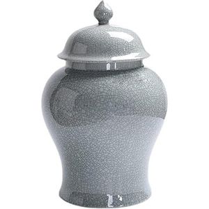 Gemberpot met deksel Gember potje Keramische Vazen Zilveren Gemberpot Met Deksel Voor Home Decor Oude Chinese Porselein Tempel Jar Suikerbus Gemberpot keramische(B)