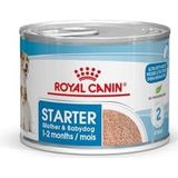 Royal Canin Starter Mousse Mother & Babydog | 12 x 195 g | Ultra Soft Mousse vochtige voeding | voor honden in het laatste derde deel van de dracht en tijdens de zoogtijd